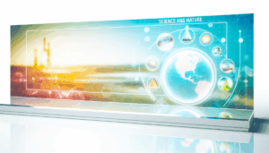 Menyaksikan Secara Mendalam Kehidupan Sehari-hari Di Dalam Savana Savanah Di Afrika: Flora dan Satwa yang Menarik.